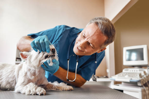 Best Same-Day Emergency Appointments in Pine Lake Park, NJ